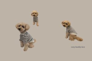 cozy buddy &co (2000 x 1333 px) 9